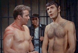 Illustration for article titled Spock Is Sexy? Illogical!